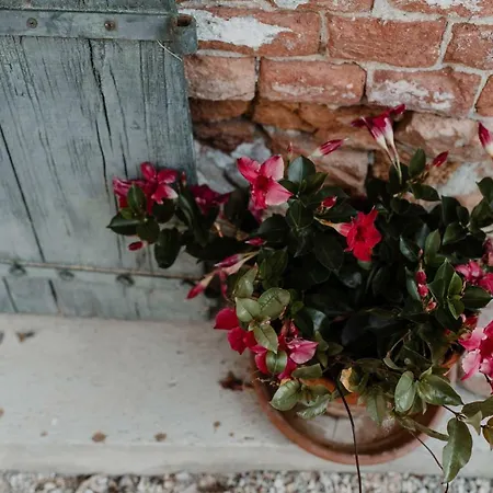 Lindhouse - A Govone